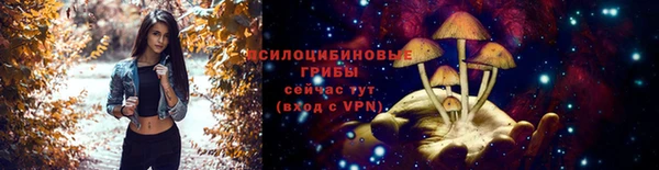 круглые Богданович