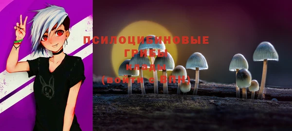 круглые Богданович