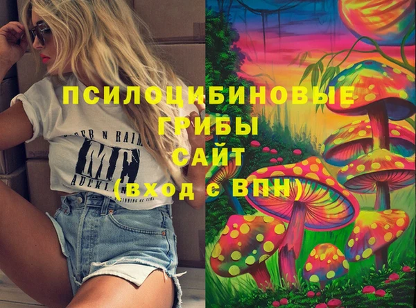 сатива Богородицк