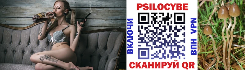 Псилоцибиновые грибы GOLDEN TEACHER Новозыбков